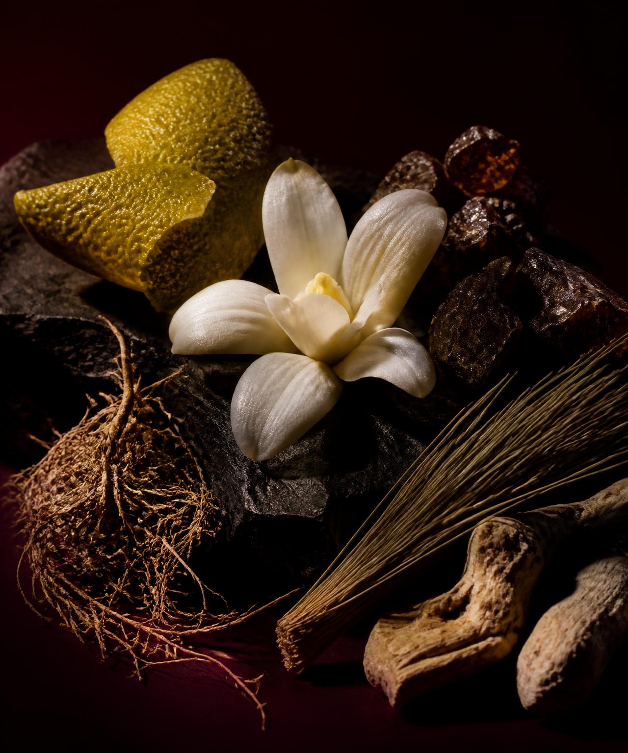 Fragrance ingredients arranged on dark stone